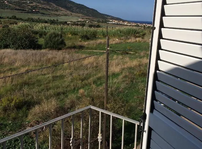 Traumblick 瓦雷多利亚